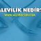 Alevi nedir?