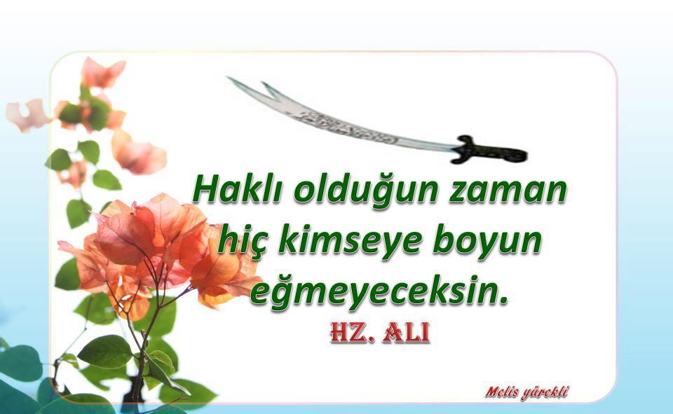 hz ali resimleri 18