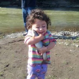 bebek